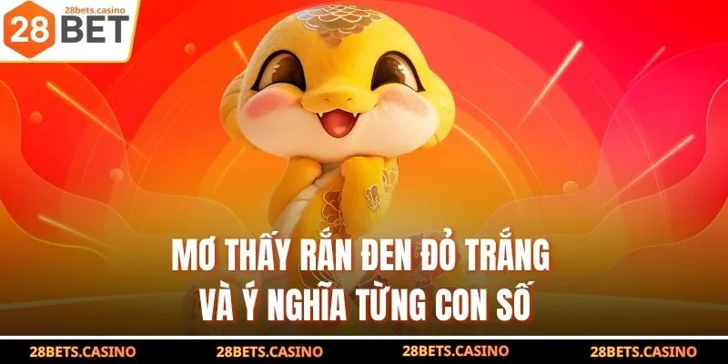 Mơ thấy rắn đen đỏ trắng và ý nghĩa từng con số